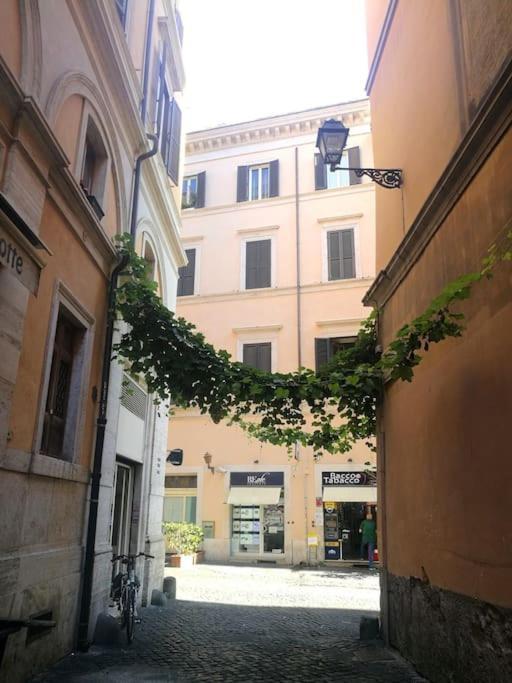 Residenza Del Teatro - Apartamento